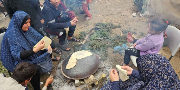 Financial Times: Food insecurity is worsening in Gaza