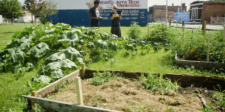 Food from urban agriculture has a carbon footprint six times greater than conventional products, study finds