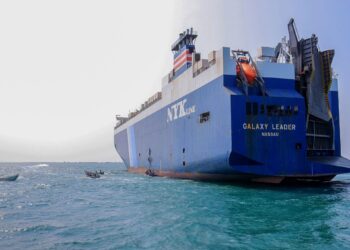 French expert : Houthi calculations are still winning in the Red Sea  Politics