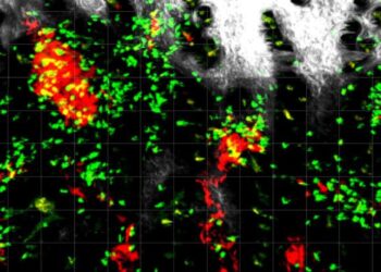 From helpers to melanoma fighters