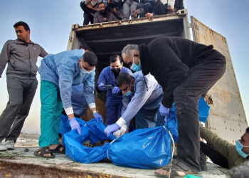 Gaza.. Evidence that Israel is stealing organs from the bodies of Palestinians