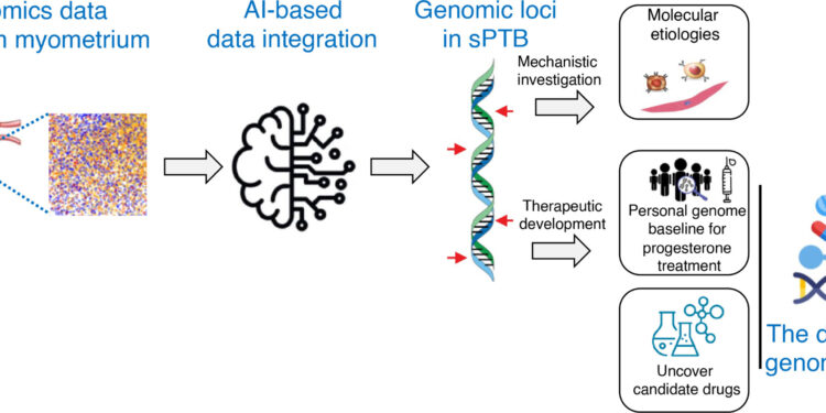Genetic discovery reveals who can benefit from treatment for premature birth