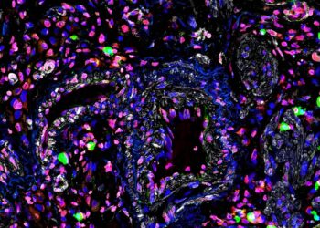 Genetics may influence the body’s response to a lack of oxygen, study finds