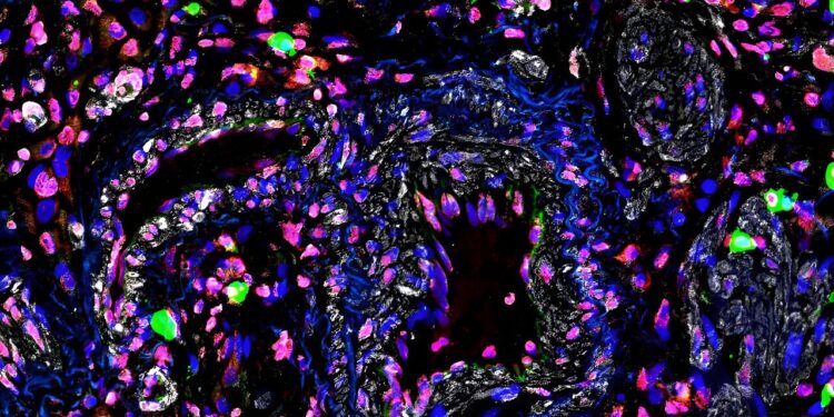 Genetics may influence the body’s response to a lack of oxygen, study finds