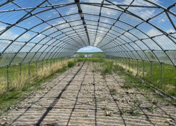 Global study reveals extreme impacts of drought on grasslands and shrubs