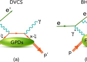 Gravity helps show strong force in proton
