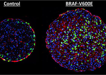 Harnessing skin cancer genes to heal hearts