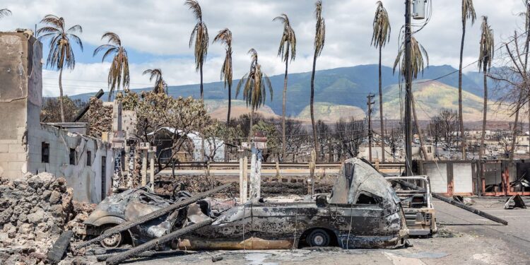 Hawaii identifies 100th victim of fires that ravaged the island of Maui
