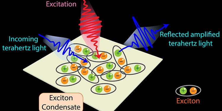 Highlighting the hidden properties of quantum materials