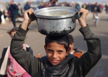 Hunger looms over northern Gaza, and animal food is the only alternative