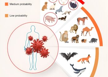 In the interest of animal welfare and public health, researchers are advocating for improved conditions for farmed animals.