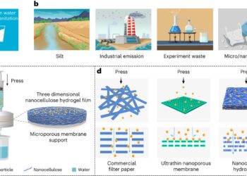Injectable water filtration system could improve access to drinking water