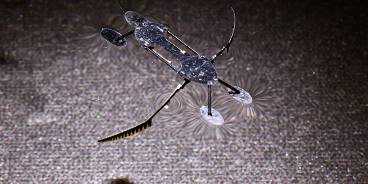 Insect-inspired mini-robots could be the smallest, lightest and fastest ever developed