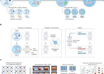 Lifelong learning will power the next generation of autonomous devices