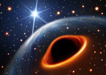 Lightest black hole or heaviest neutron star?  MeerKAT discovers a mysterious object in the Milky Way
