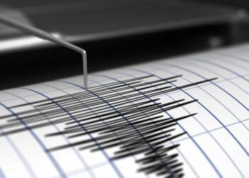 Los Angeles area shaken by ‘mild’ earthquake on first day of 2024