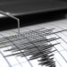 Los Angeles area shaken by ‘mild’ earthquake on first day of 2024