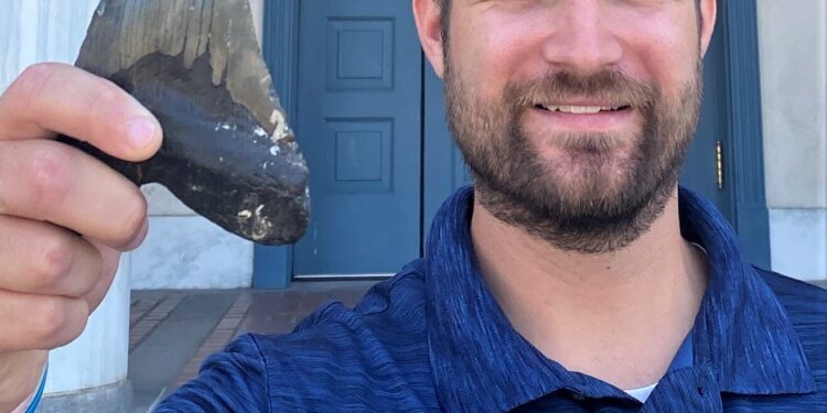 Megalodon was slimmer than depicted in films, study finds