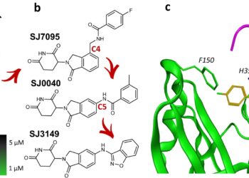 Molecular ‘superglue’ holds promise for cancer drug discovery platform