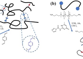 Molecularly designing polymer networks to control acoustic damping