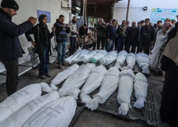 More than 23 thousand killed in Gaza… death is everywhere.