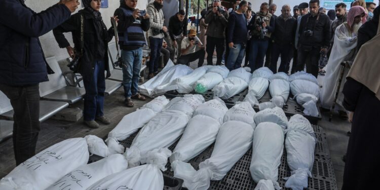 More than 23 thousand killed in Gaza… death is everywhere.