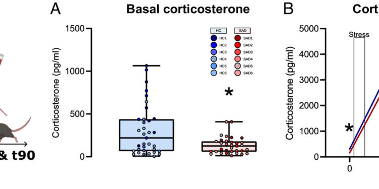 Mouse study shows gut biome plays role in social anxiety disorder