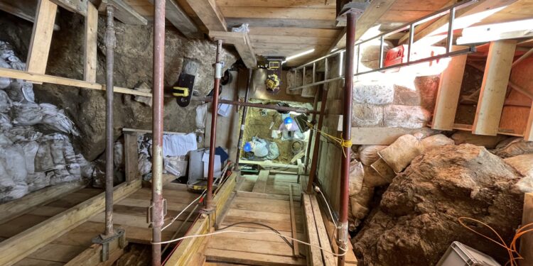 Neanderthals and humans lived side by side in Northern Europe 45,000 years ago, genetic analysis shows