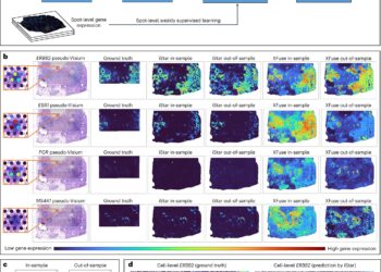 New AI tool helps focus faster and more precisely on precision cancer pathology and beyond