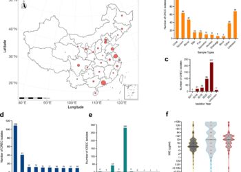 New E. coli strain that is highly infectious and resistant to powerful antibiotics