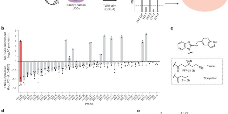 New compound targeting the immune system shows promise in treating lupus