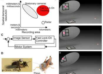 New high-speed video system uses sensors and infrared lighting to track insects across vast wilderness areas