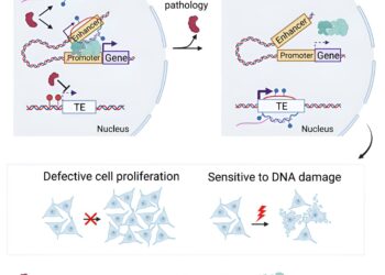New knowledge on the mechanisms of neurodegenerative diseases