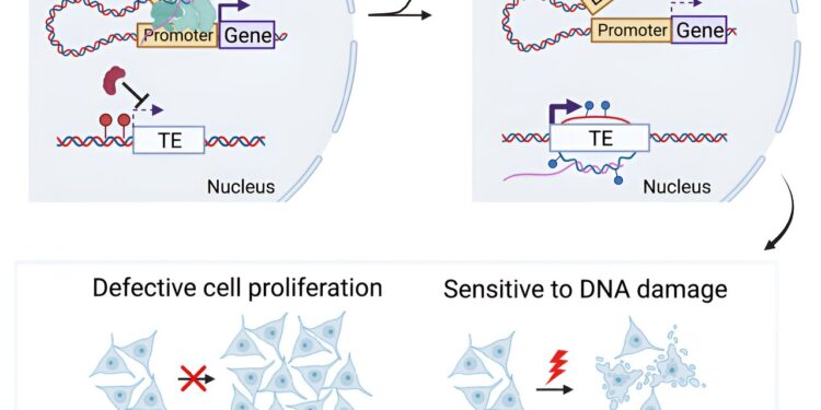 New knowledge on the mechanisms of neurodegenerative diseases