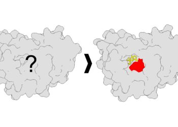 New mapping method illuminates drug sites on proteins