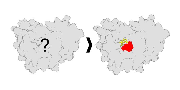 New mapping method illuminates drug sites on proteins