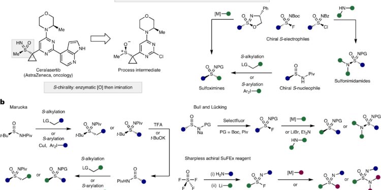 New reagent improves the process of making sulfur-containing compounds that can be used in medicines