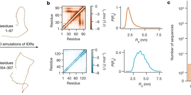 New research brings order to disordered proteins