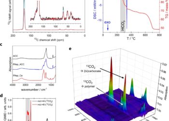New research deciphers the mechanism of biomineralization