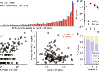 New research guides the creation of mathematical models for genetic regulatory networks