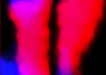 New research reveals major difference between American and Chinese chestnut genomes