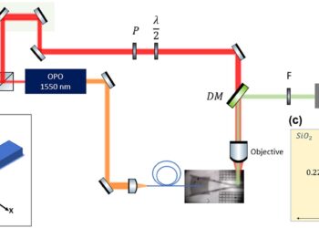 New research shows how light travels in integrated circuits on chips