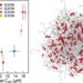 New simulation tool advances molecular modeling of biomolecular condensates