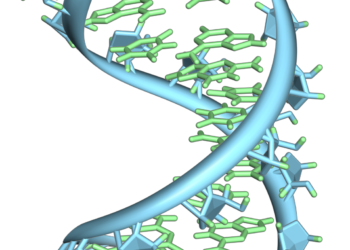 New study finds that short, toxic RNAs kill brain cells and may enable the development of Alzheimer’s disease
