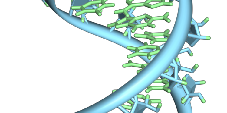 New study finds that short, toxic RNAs kill brain cells and may enable the development of Alzheimer’s disease