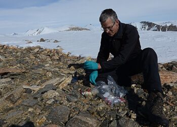 New study reports Greenland is a methane sink rather than a source