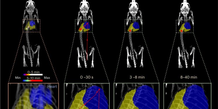 New study reports first known use of positron emission particle tracking in a living animal