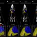 New study reports first known use of positron emission particle tracking in a living animal