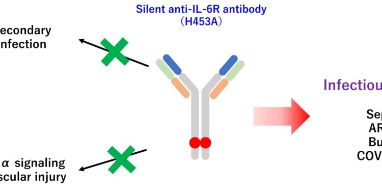 New targeted treatment calms cytokine storm