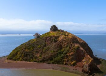 No water or electricity: a private island in San Francisco for sale for $25 million